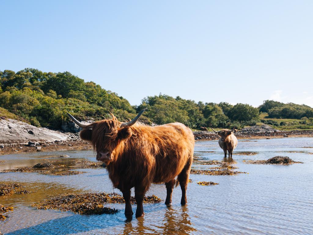 Shenavallie Farm Benderloch エクステリア 写真